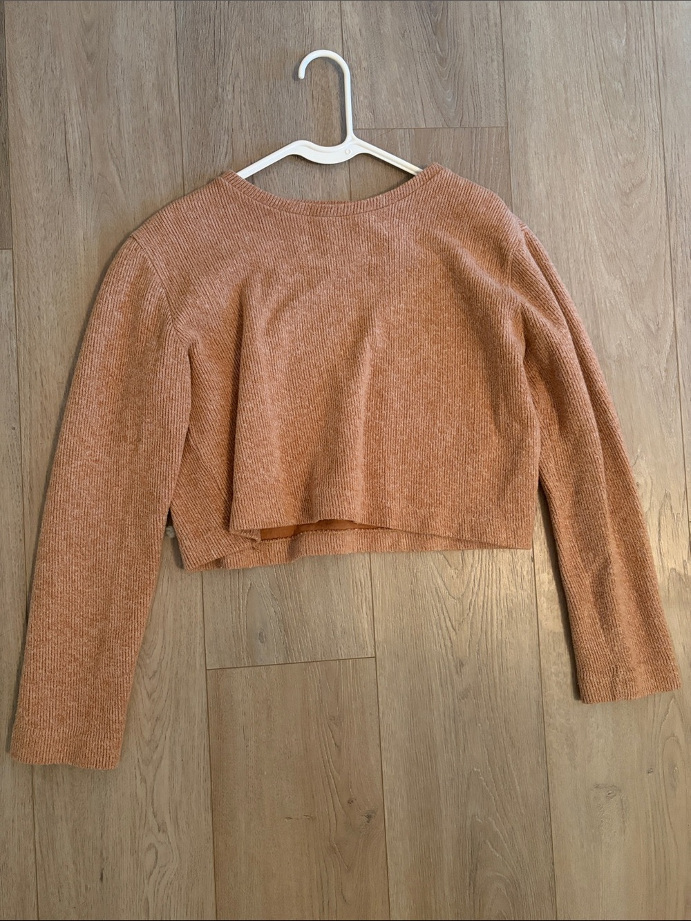 Zara Cropped Long Sleeve Sweater in Rust Color